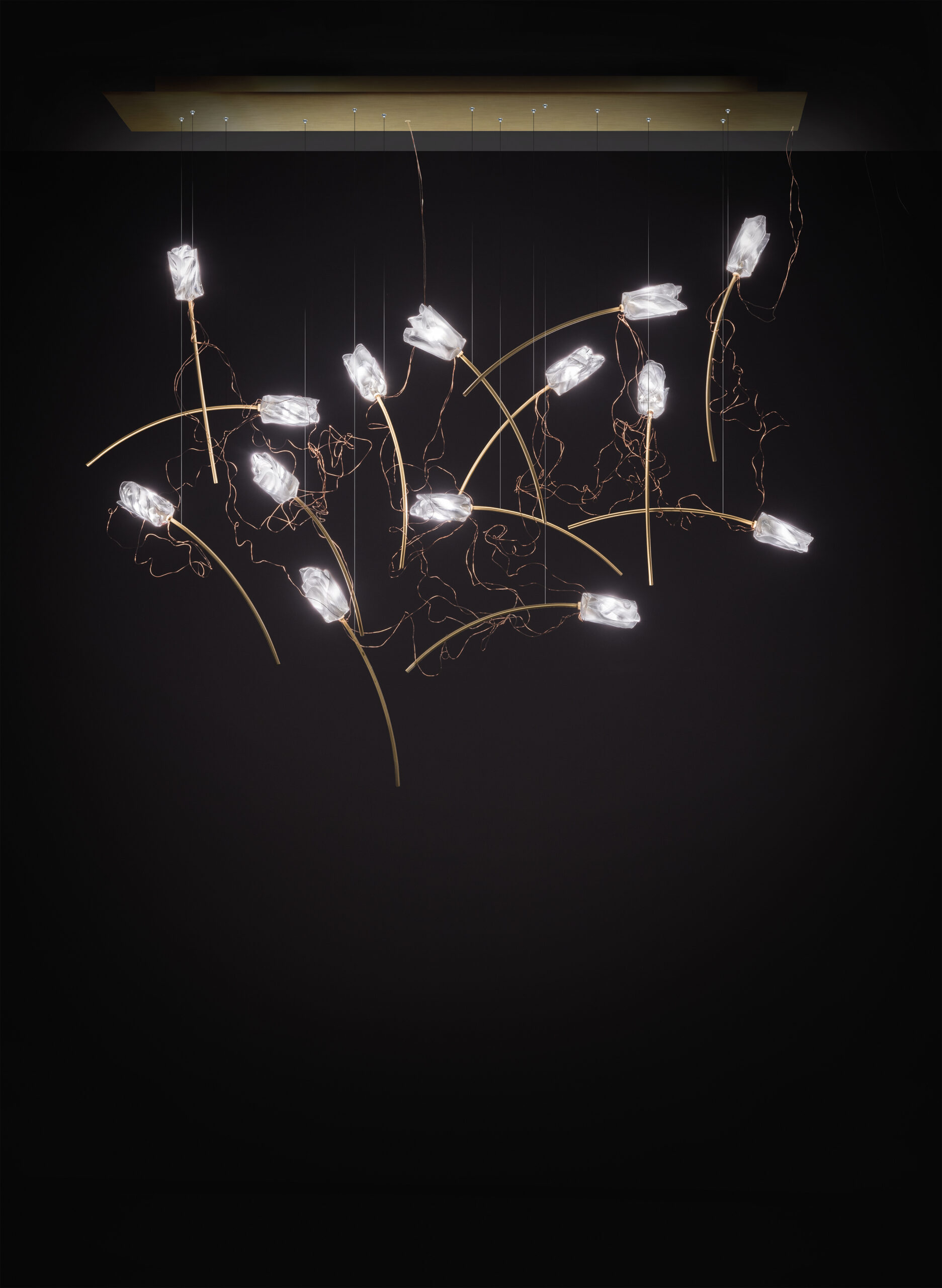 Tulip 14 Linear on black