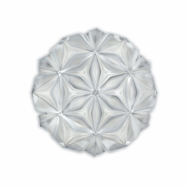 LA VIE CEILING/WALL by Adriano Rachele